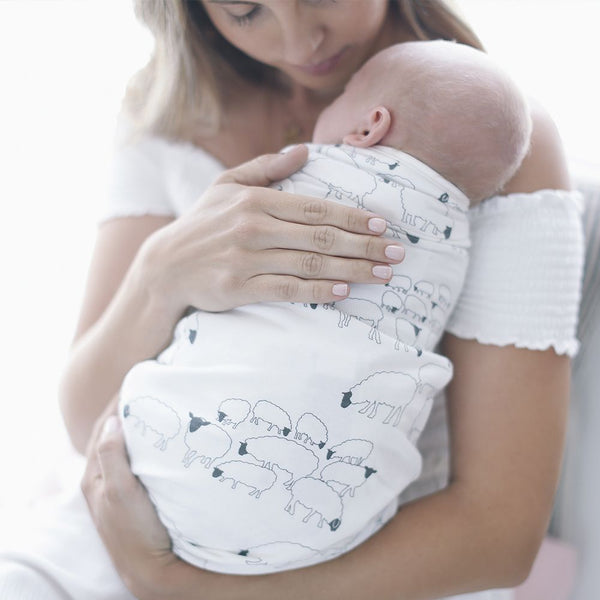 ergobaby swaddler sheep